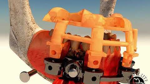 Synergy Workflow Animation