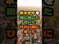 ボスママを敵に回したせいでひどい目に遭った