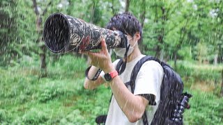大雨の中、600mm超望遠レンズのファインダーを覗くと・・・