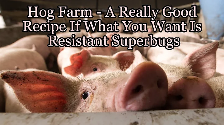 Hog Farm - A Really Good Recipe If What You Want I...