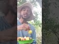 privilégio é viver na roça!
