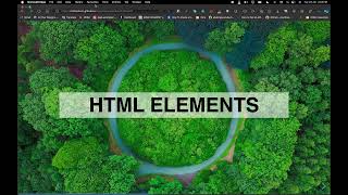 01 HTML ELEMENTS