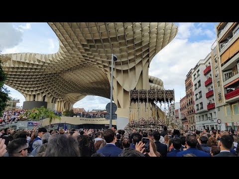 Pontificia, Real e Ilustre Hermandad Sacramental Purísima Concepción Ánimas Benditas del Purgatorio, San Sebastián Mártir y Archicofradía de Nazarenos del Santísimo Cristo de la Exaltación y Nuestra Señora de las Lágrimas