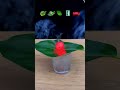 1000°C Ball vs 5 Objects - The Soap Plot Twist #satisfying #experiment
