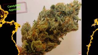 RESERVE OG Bomb Kush Weed Marijuana Chronic From California - TheRealCandyMan