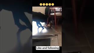 movie viral For Your Fagemovie