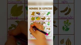 Nombre de especias