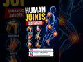HUMAN JOINTS #shortvideo #medical #reels #Joints #HumanBody #Anatomy #norcetmcq #bscnursing #exam