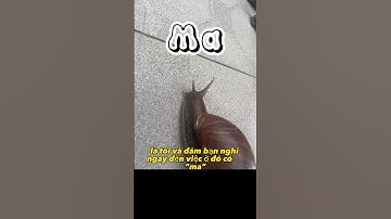 Chuyện con ốc Ma! | HappyLife_channel | #shortsviral #funnyshorts #vui#haihuoc #ocma #ốcsên