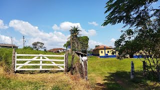 Download Lagu Mestre carreiro com 88 anos, faz e monta carro de boi, Geraldo carreia ate hoje no Barreiro MP3 Download Lagu Mestre carreiro com 88 anos, faz e monta carro de boi, Geraldo carreia ate hoje no Barreiro MP3