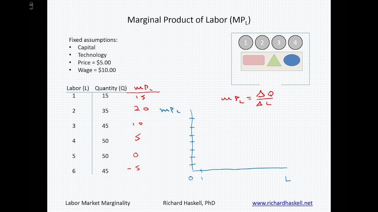 ECON 3100 2.2 - Marginal Product of Labor