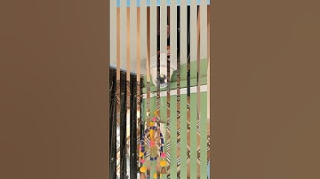 CP Plus CCTV Installation – घर और दुकान की पूरी सुरक्षा!