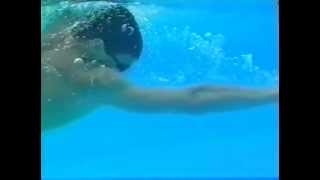 Техника плавания сильнейшие пловцы мира вольный стиль