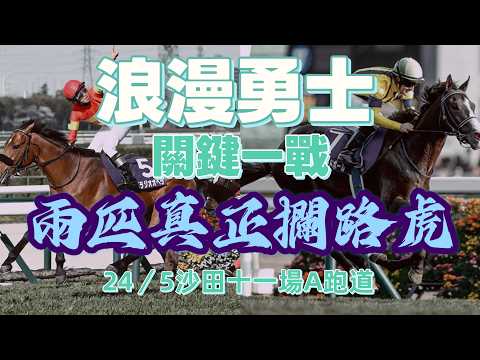 浪漫勇士關鍵一戰.兩匹真正攔路虎.24/5沙田十一場A跑道.
