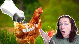 A cheap + surprising way to keep chickens healthy by Fantail Valley Homestead 1,507 views 1 year ago 6 minutes, 34 seconds