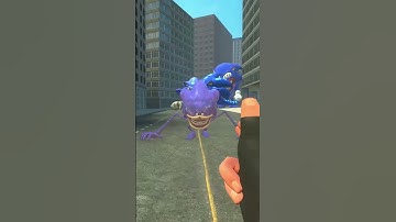 WHO