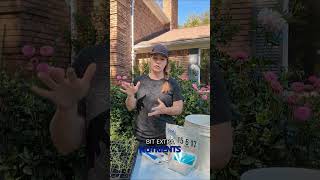 Why are garden center seedlings PERFECT? Two words: Water Chemistry. 💧