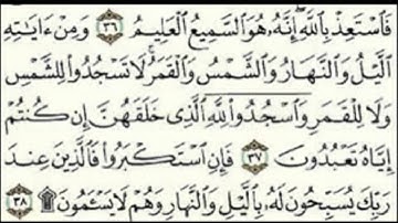 سورة فصلت بصوت امام الحرم الشيخ عبدالرحمن السديس | HD