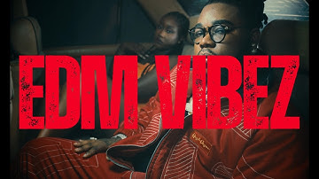 EDM VIBEZ - MMMM [Official Video]