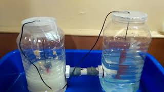 Microbial Fuel Cell