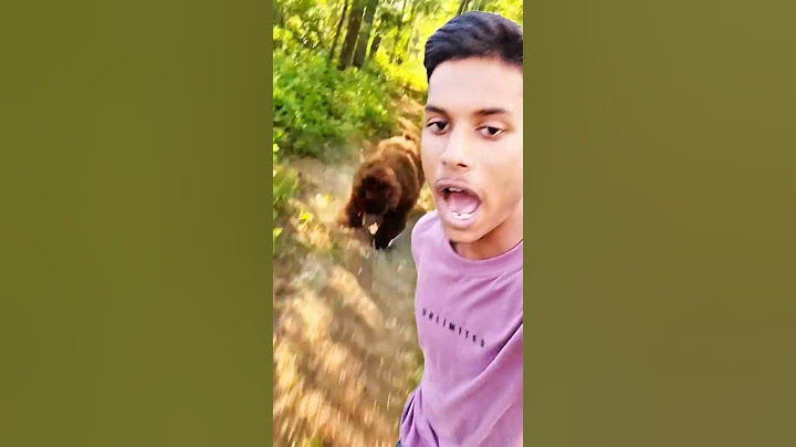 Spot The Fake Animal For $10,000 | MR RE
