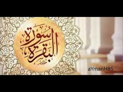 سورة البقرة القارئ عثمان صديقي