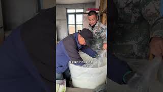 气温骤降，老妈总担心白菜冻，趁着中午时间把酸菜腌了，早腌早省心#我的乡村生活 #腌酸菜   #抖音