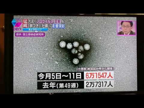【ノロウイルス】只今の感染状態