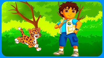 Go Diego Go   Diego