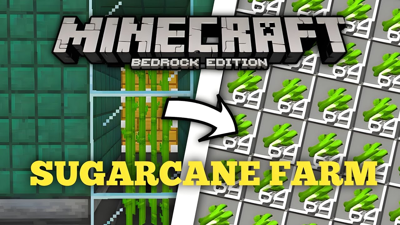 Sugarcane Farm In Minecraft Pocket/Java/Bedrock 1.21