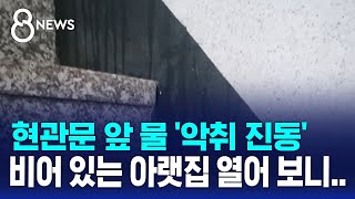 현관문 앞 물 '악취 진동'…비어 있는 아랫집 열어 보니 / SBS 8뉴스
