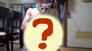 飼い猫をシャンプーで綺麗にしたら大変なことに！　PDS