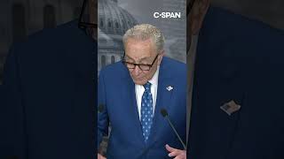 Schumer: "We Dems have the winds in our sails"