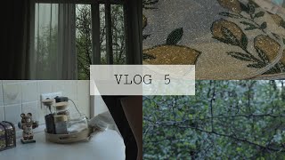 vlog5| будни, уборка кухни