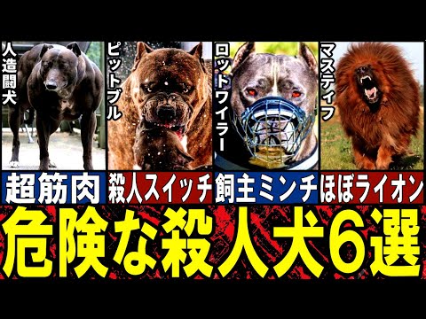 【閲覧注意】あまりに危険すぎる犬6選【ゆっくり解説】【動物おもしろ雑学】