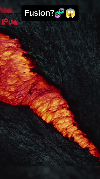 BRACHIOSAURUS🧬LAVA #viral #fusion #ai #roadto10k #animals #flux #brachiosaurus #lava #youtubeshorts