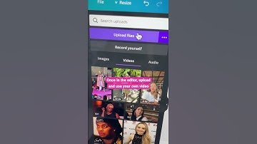 Remove and Change the BACKGROUND of your VIDEO in Canva (1 click!)