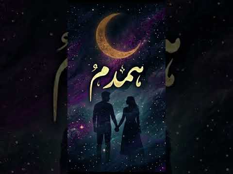 Humdum #pakistanisong  #urdupoetry #songs #karachi  #aestheticurdu #fyp #shortvideo #feedshorts