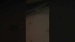 hEs EaTInG mY bED!?!!!