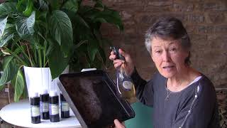 Introducing one solution: microbial cleaners
