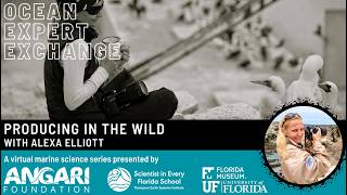 Ocean Expert Exchange: Producing in the Wild