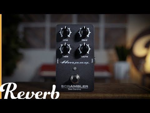 Ampeg Scrambler Bass Overdrive | Reverb Demo Video