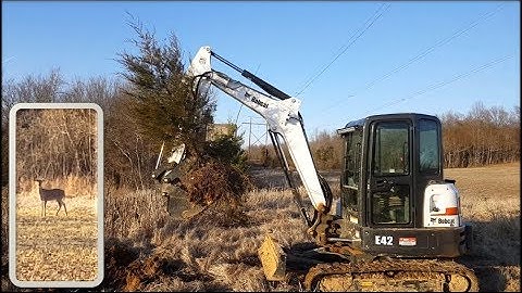 Saving Trees! Daily Farm VLOG, Transplanting Trees, Excavator & Wildlife 01-26-18