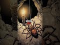 How A Spider Changed Scottish History Forever