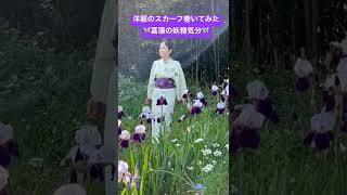 「銀座きもの　衣」銀座いせよしにて販売しています。#ginza #銀座 #kimono #きもの #散歩 #walking #勝負 #菖蒲 #iris http://www.iseyoshi.com/