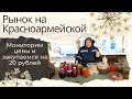 20 р. на закатки с курагой. Что почём зимой на рынке