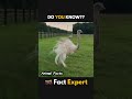 Feathered Giants: Top 5 Biggest Birds Revealed!