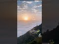 خطر غصن القنا فؤاد الكبسي اليمن الحوثي الشرعيه السعوديه الامارات