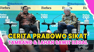 ®️🔴 UPDATE❗PRABOWO CERITA BONGKAR 1.000 TAMBANG ILEGAL, KERAHKAN TNI & JAKSA SITA LAHAN SAWIT ILEGAL