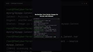 Information DevSecOps: Scanning Docker Images for Secrets using Gitleaks Update
